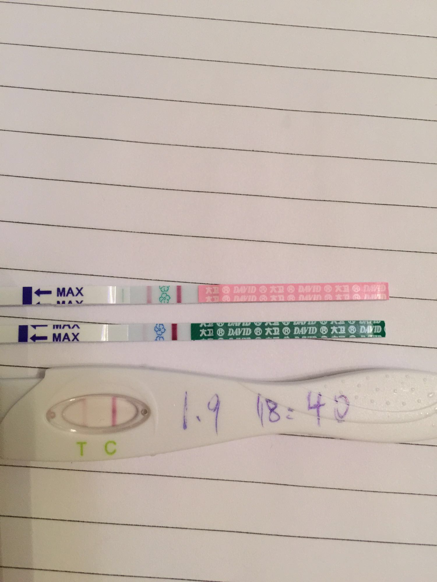 备孕怎么吃黑豆长卵泡,黑豆备孕长卵泡