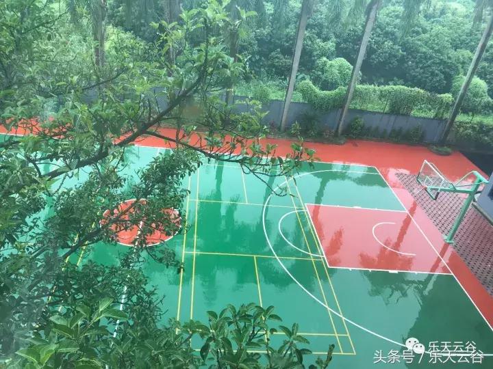 你那爱旅行的青蛙儿子,最近去乐天云谷了~