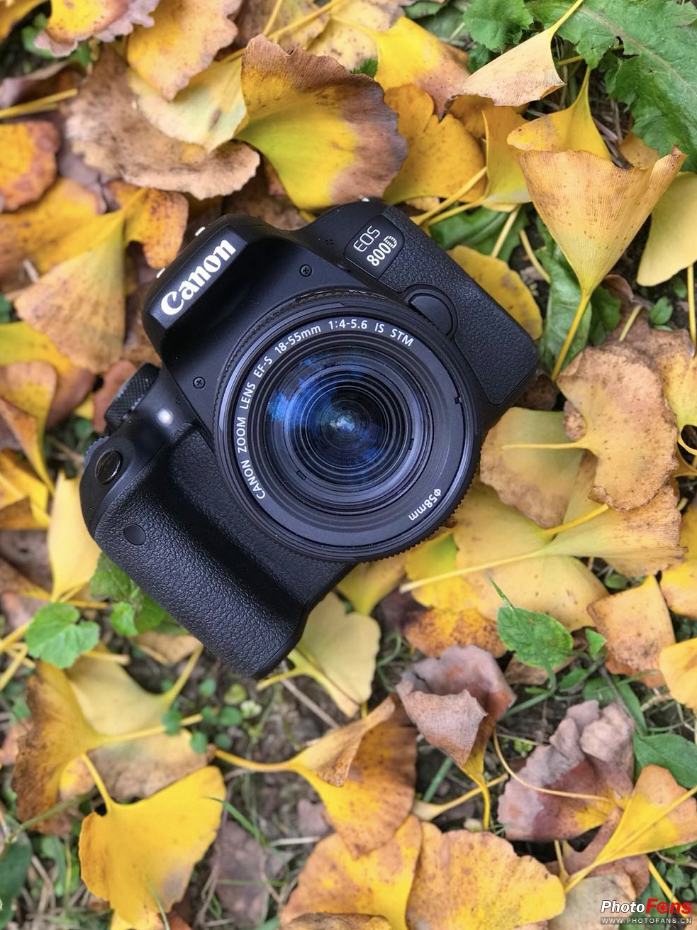 佳能eos800d摄影视频,佳能eos800d拍出来是黑白的