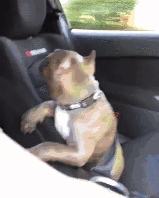 看完笑的腮帮发酸的二十六张图（9998714）