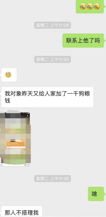 宠物爱心骗局新套路,宠物圈骗局大揭秘