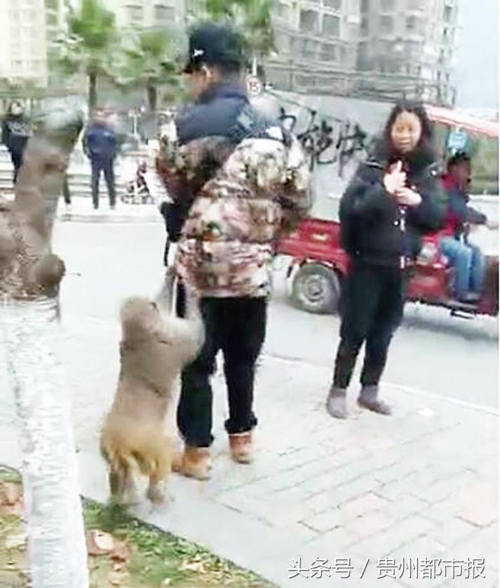 临山的天誉城，最近常有“大圣”夫妻驾到，居民请闪开