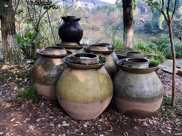 川美，看起不像是读书的地方