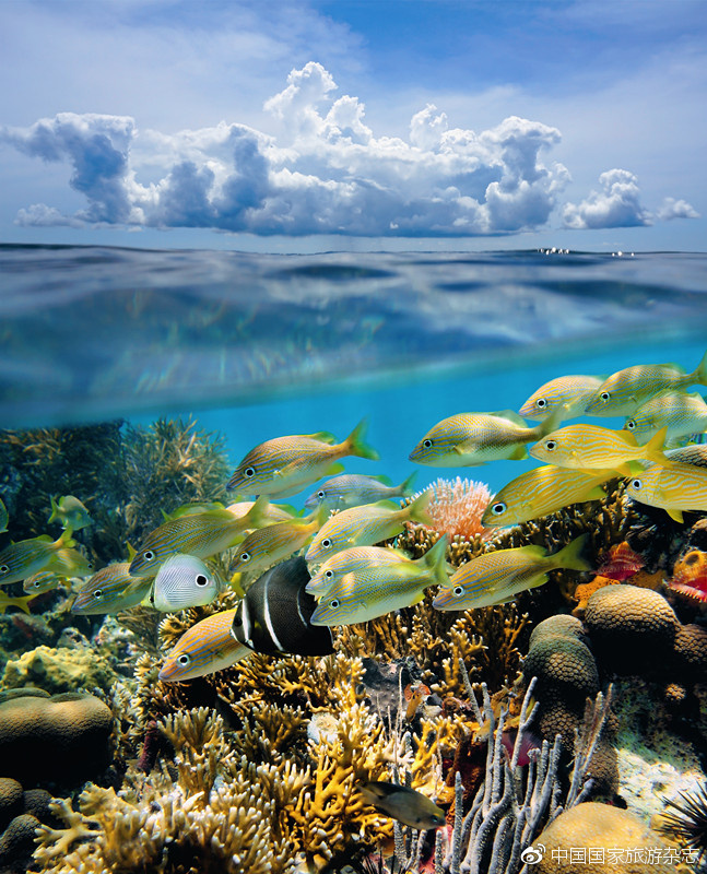 西沙群岛风景区,西沙群岛海底旅游