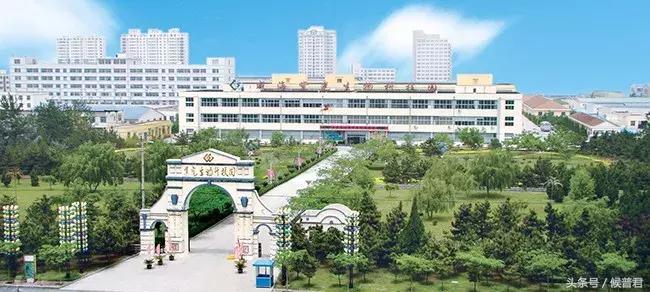 威海紫光互联网直销怎么样,威海紫光是正规直销吗