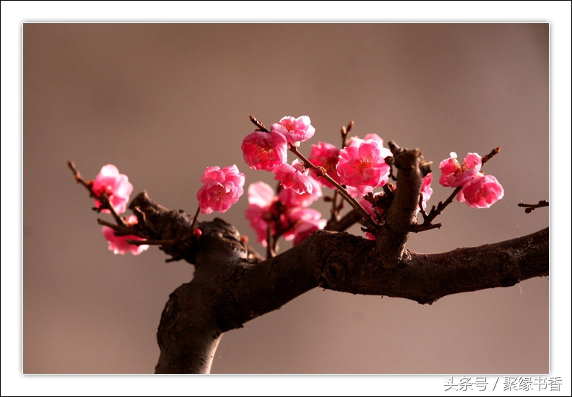 长相思古诗词经典唯美名句,唯美古诗词长相思