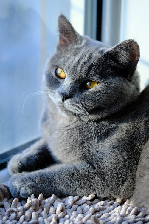 富士xf50mmf2评测,富士xf80mmf2.8