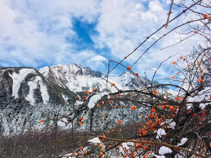 一下雪峨眉山就成了仙境,一下雪川西便美成了天堂