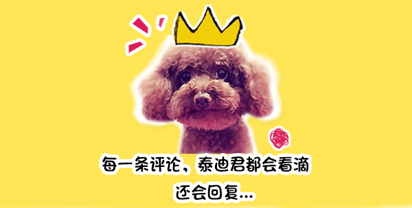 松鼠饿死了怎么救活,松鼠长牙齿