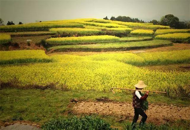 开荒土地确权补贴,开荒地确权后能建房吗
