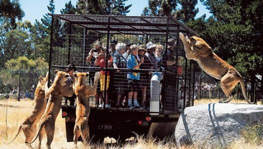 全球最适合3-18岁孩子旅游度假胜地