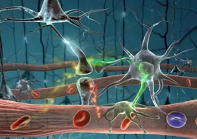 卵巢衰老还排卵吗,卵巢功能有衰退迹象怎么保养