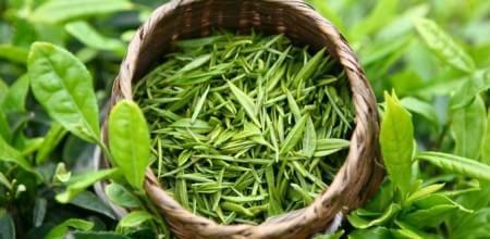 茶要多少度的水才能泡开,茶多少度的水最好泡熟了