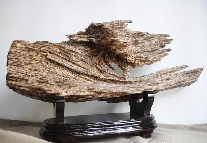 奇楠沉香火孔造香价值,奇楠沉香不同香型的价值如何