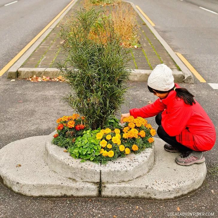 波特兰必去打卡,波特兰portland