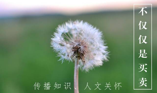 瑞思迈呼吸机s10和aircurve10,瑞思迈airsense10单水平呼吸机