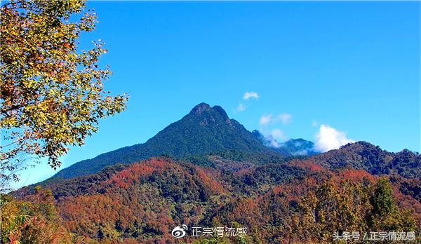 边走边吃水果视频,边走边吃一路看风景