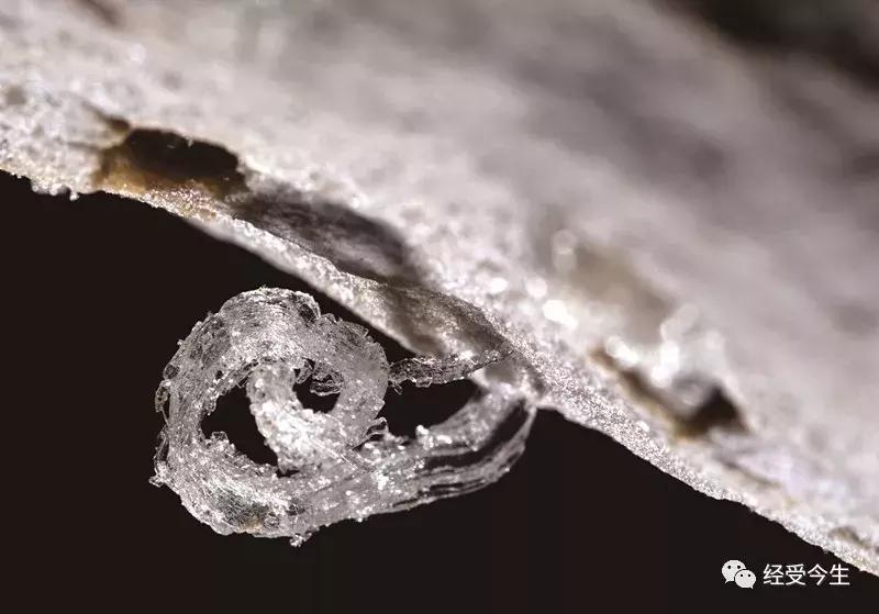 伊蕾：大智者李发模与十二背后之恋