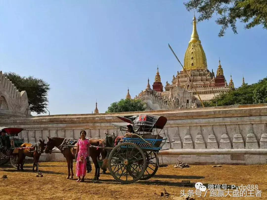 市场下跌果断加仓,市场大跌选股思路