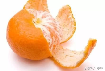 别浪费这两种喝剩的渣子，倒在多肉植物盆土里，长壮长肥，猛爆仔