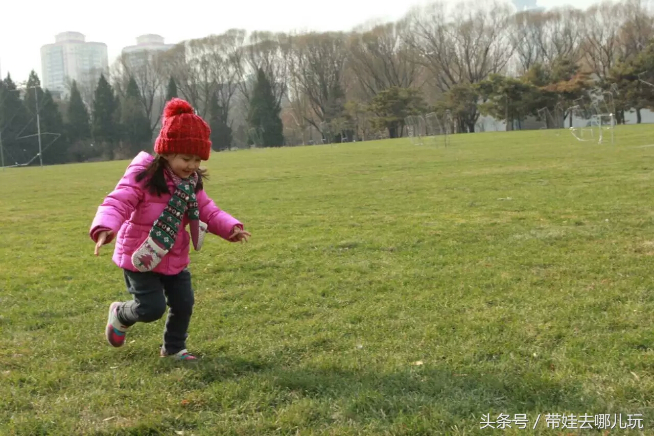 奥森附近小动物乐园,奥森公园世外桃源