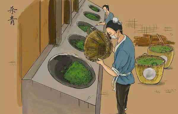 普洱茶知识100讲｜第6讲：普洱茶是如何杀青的？