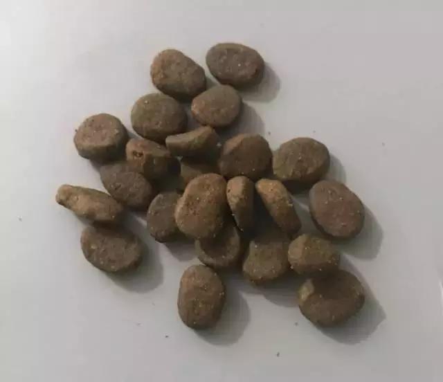 铲屎官好物推荐,铲屎官良心测评宠物有机羊奶粉