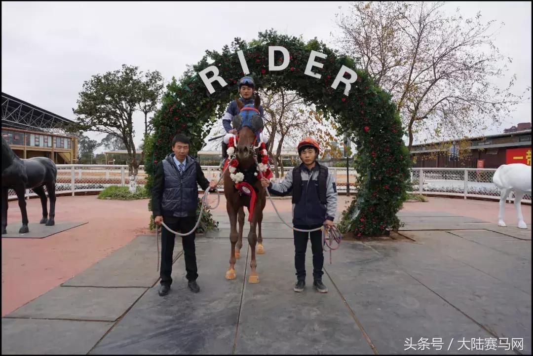 中信嘉丽泽莱德马会,昆明嘉丽泽赛马邀请赛