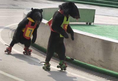 十二星座天蝎练田径行吗,十二星座适合当什么运动员
