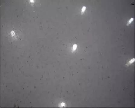 怎么样补车漆效果更好,最新简单实用补车漆