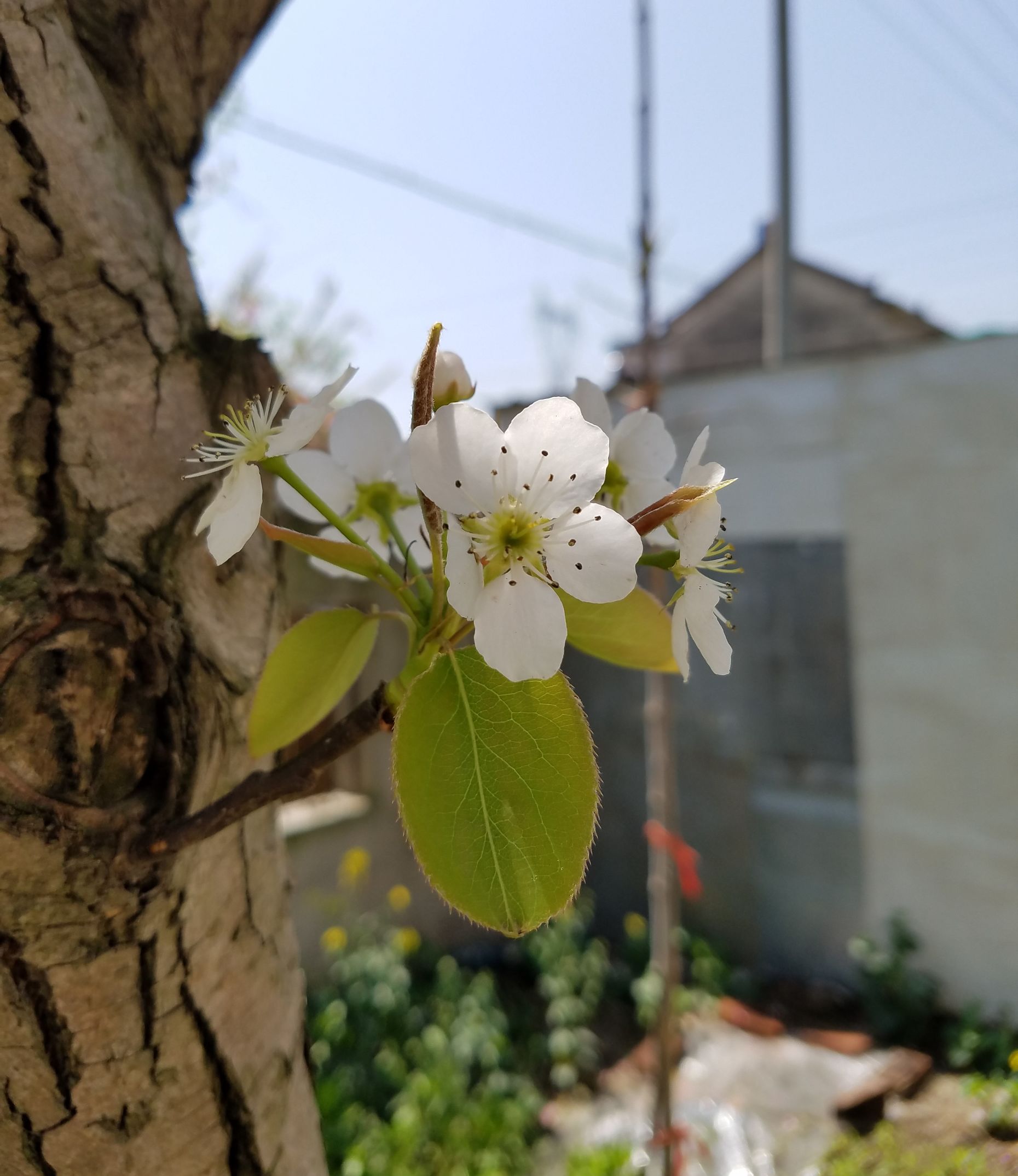 三星s7对比5s,三星s7e和note7