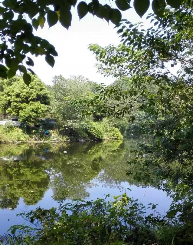 冬天成都两天来回得哪里去玩,成都3-5天短途旅游推荐