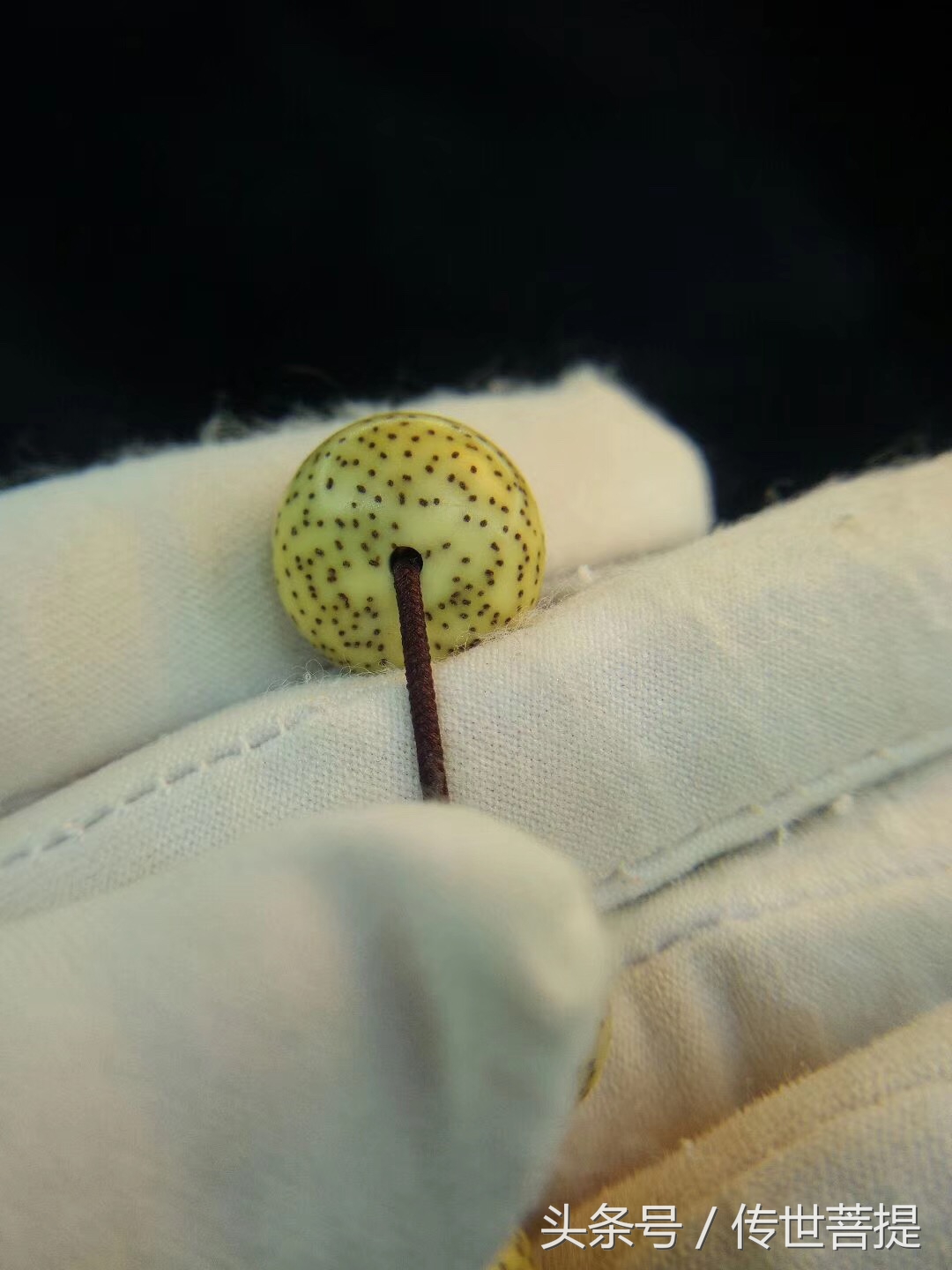 极品16*11黄金苹果圆手串，黑星老料小细星表面无连星完美无瑕