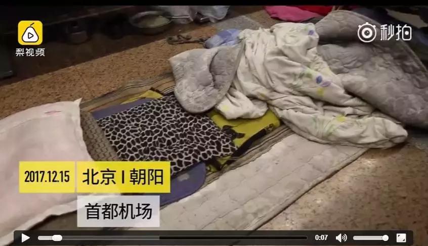 逗B奇闻丨姑娘重复订了机票，机票900，退票手续费1000元？！