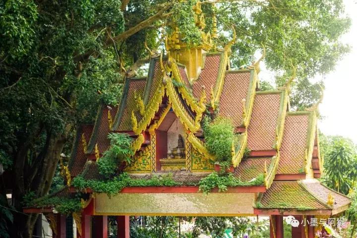 清迈旅游必买攻略,清迈旅游省钱攻略