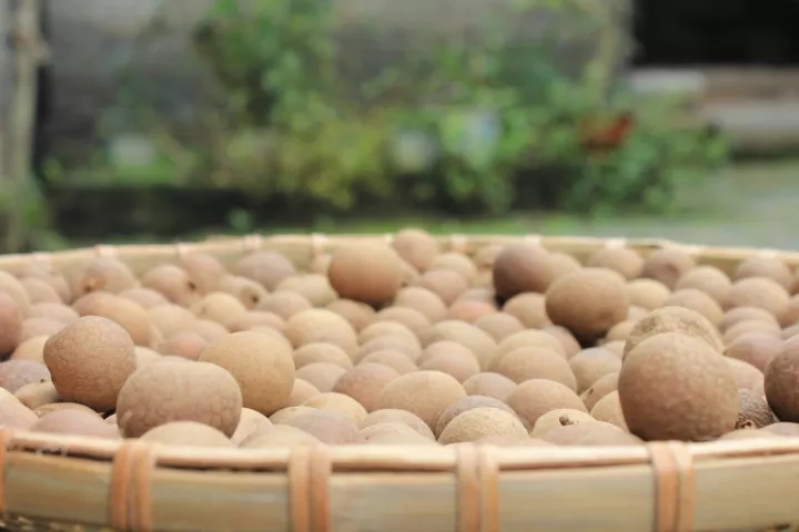 桂圆干：进补佳期，补气血驱寒暖身