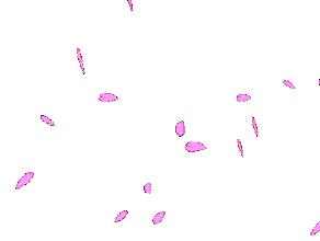 chanelysl经典款,中古chanelysl