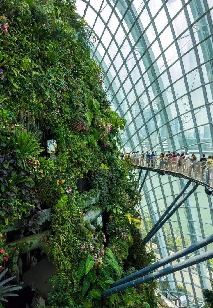 500元机票随便飞,500块出国机票