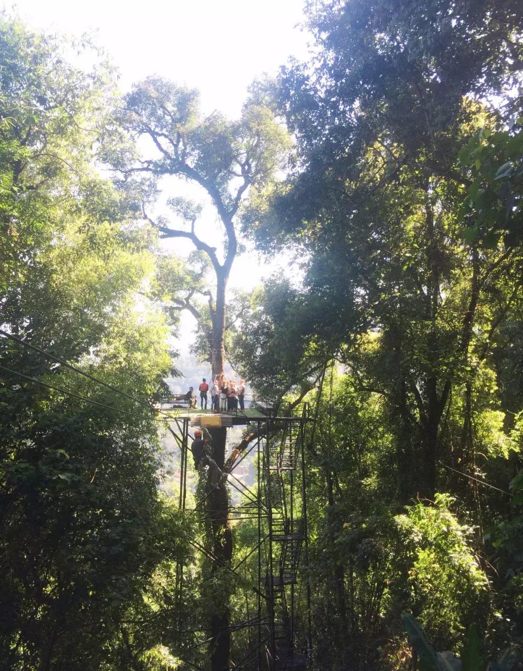 500元机票随便飞,500块出国机票