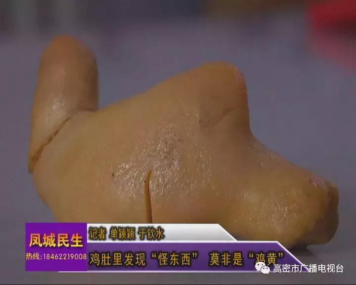 奇事｜一高密人在鸡肚子里发现个怪东西，快来看看你认不认识！