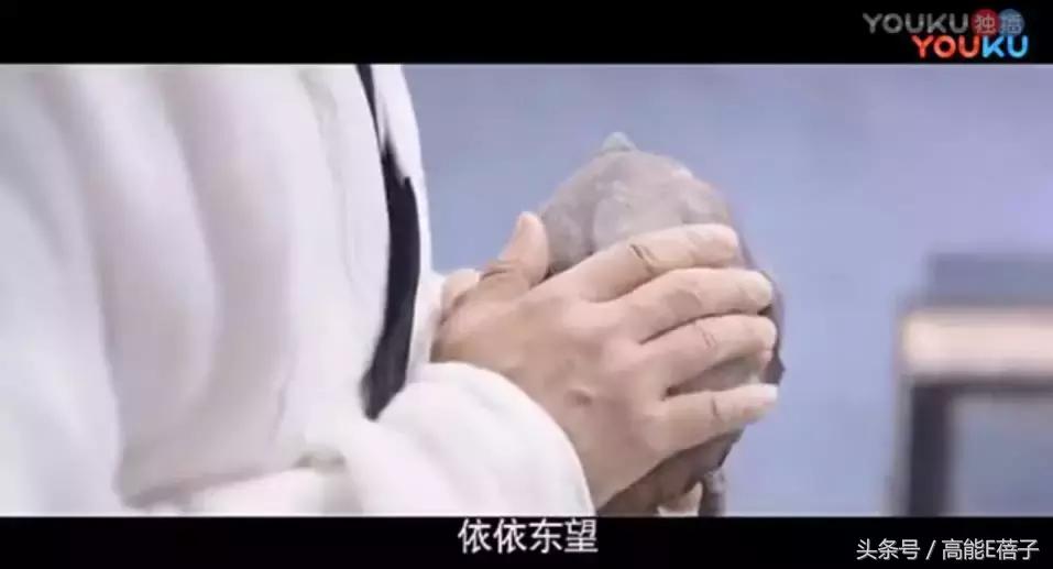 他教会胡歌表演，与吴秀波飙戏演技一点不输，可惜角色的人品略低