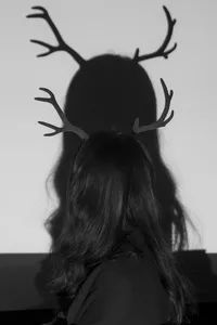 深圳本周有什么活动,最近深圳周末有什么活动吗