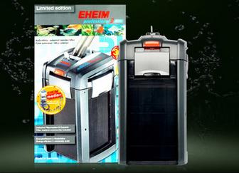 新手养草缸鱼,草缸新手入门