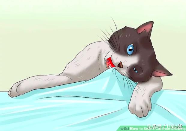 防止猫咪咬伤的衣服,怎么防止猫咪咬烂手术服