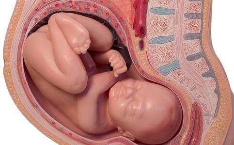 22周胎儿脚在宫颈口,26周胎儿脚在宫颈口