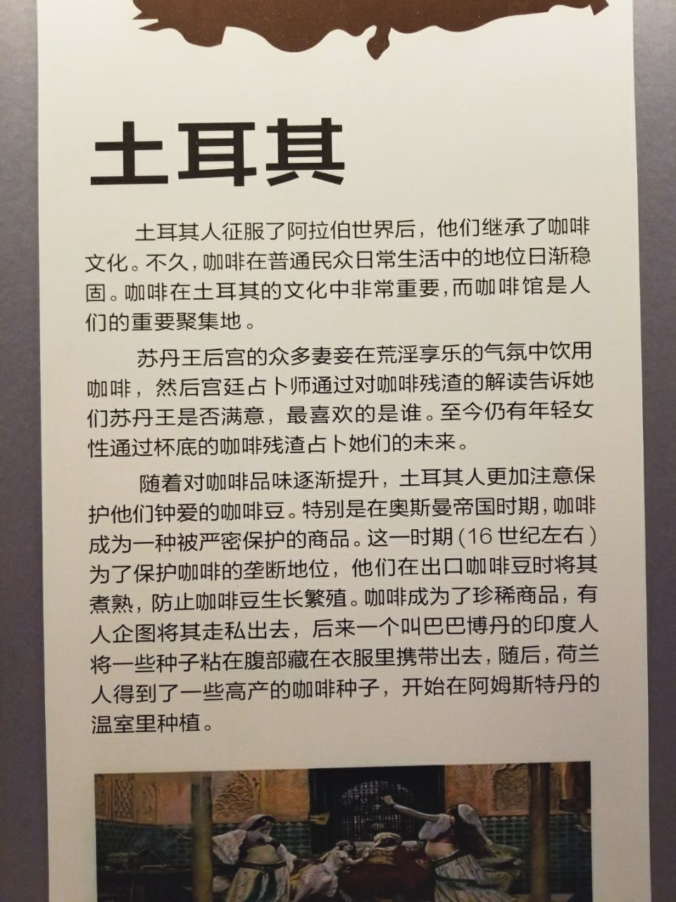 去云南适合买什么茶,云南最有名的咖啡在哪里