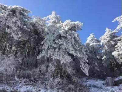 杭州大明山滑雪,杭州的雪什么时候来