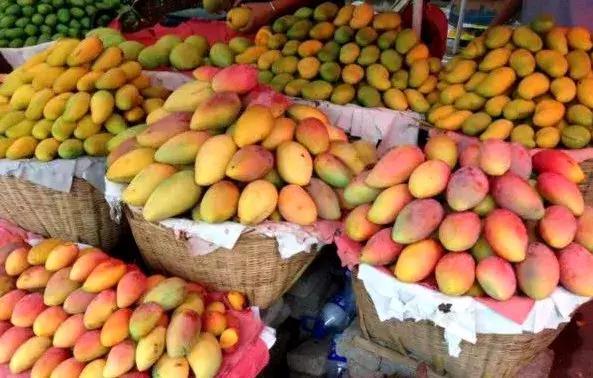 昆明坐火车绿皮去西双版纳,昆明坐高铁去西双版纳沿途风景