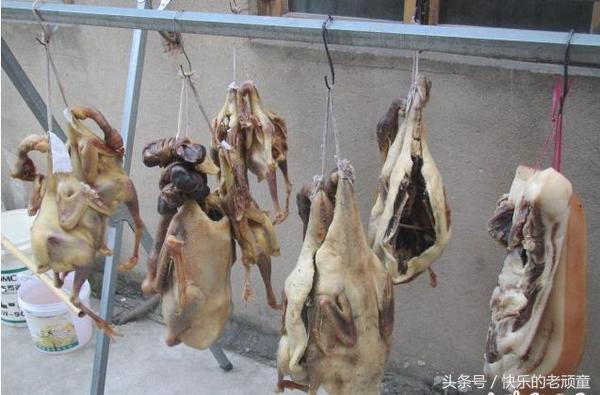 央视点评寿县咸鹅,寿县咸鹅味道怎么样