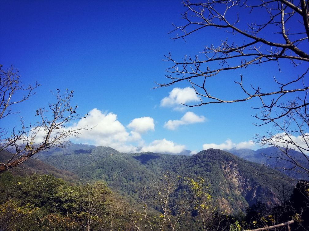 去云南适合买什么茶,云南最有名的咖啡在哪里